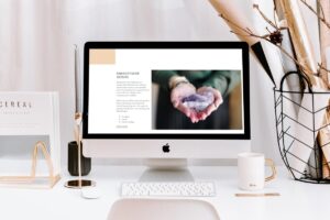 Website laten bouwen in Limburg