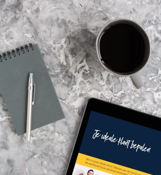 Ideale klant bepalen adhv vragen in het werkboek